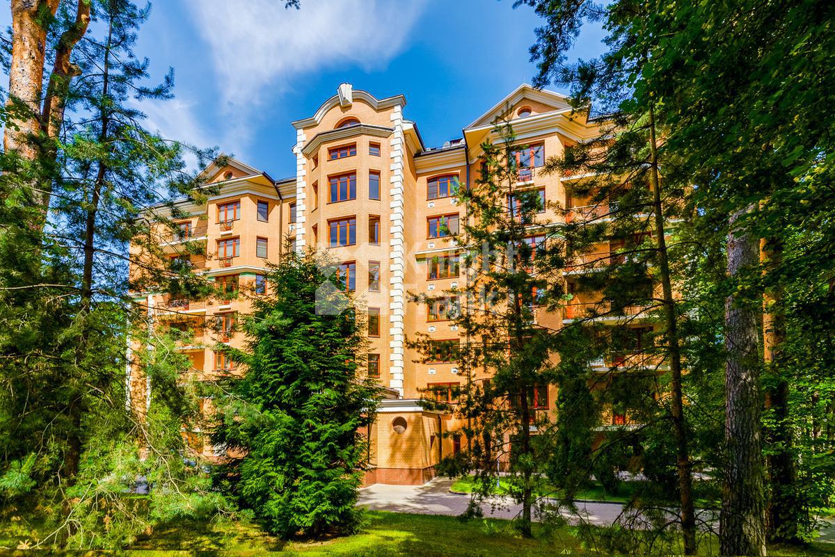 Заречье Одинцовский Район Фото